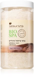 Sea of Spa Bio Spa минерална сол от Мъртво море за баня
