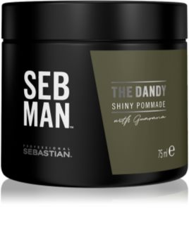 Sebastian Professional SEB MAN The Dandy pommade cheveux pour une fixation naturelle
