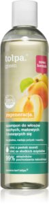 Tołpa Green Regeneration Shampoo for Dry and Dull Hair