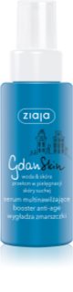 Ziaja Gdan Skin αντιρυτιδικός ορός