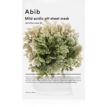 Abib Mild Acidic pH Sheet Mask Jericho Rose Fit mască textilă hidratantă cu efect revigorant