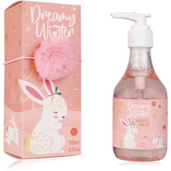 Accentra dreamy winter săpun lichid pentru mâini