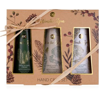 Accentra winter spa set cadou (de maini)