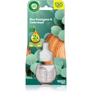 Air Wick Blue Eucalyptus & Cedarwood rezervă pentru difuzorul electric