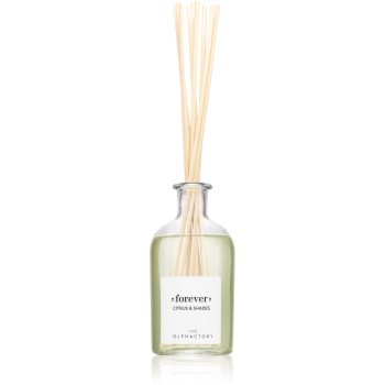 Ambientair The Olphactory Citrus & Shades difuzor de aroma Forever