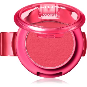 AMUSE Powder Lip & Cheek pudra cremoasa buze si obraz