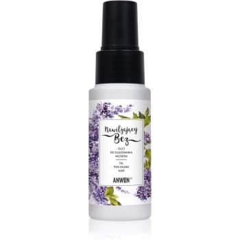 Anwen Moisturizing ulei pentru par pentru hidratare si stralucire