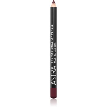 Astra Make-up Professional Lip Pencil creion contur buze Astra Make-up