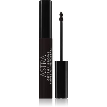Astra Make-up Geisha Brows mascara pentru sprâncene