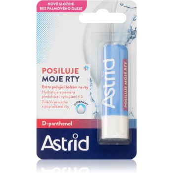 Astrid Lip Care balsam nutritiv pentru buze sensibile cu Panthenol imagine 2021 notino.ro