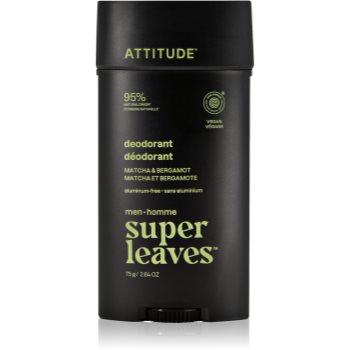 Attitude Super Leaves Men Deodorant deodorant