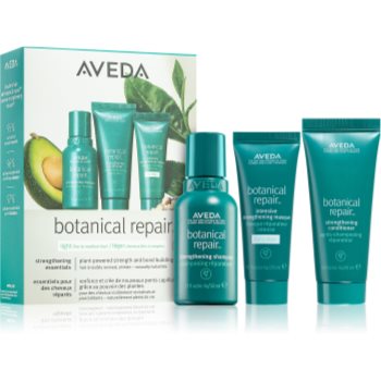 Aveda botanical repair™ light discovery set set cadou pentru păr