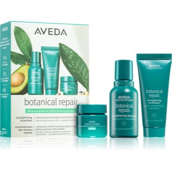 Aveda botanical repair™ rich discovery set set cadou pentru păr