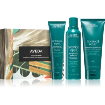Aveda botanical repair™ strengthening essentials set cadou