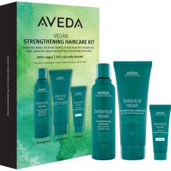 Aveda Botanical Repair™ Strengthening Haircare Set set cadou (pentru păr)