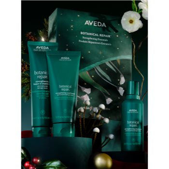 Aveda Holiday Botanical Repair™ Strengthening Essentials set cadou pentru intarirea parului - 1 | YEO