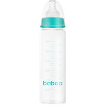 Baboo Anti-Colic Glass Bottle biberon anticolici, din sticlă (BCKRXKZ_MZWO01)