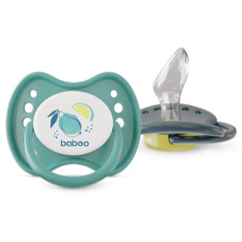 Baboo Soothers Silicone Orthodontic with Case suzetă