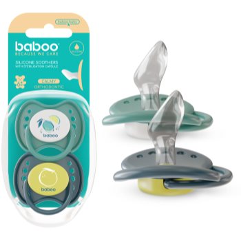 Baboo Soothers Silicone Orthodontic with Case suzetă
