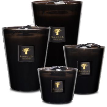 Baobab Collection Les Prestigieuses Encre de Chine lumânare parfumată