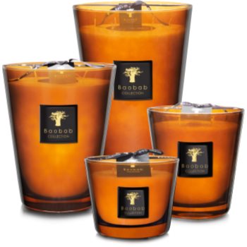 Baobab Collection Les Prestigieuses Cuir de Russie lumânare parfumată - 1 | YEO