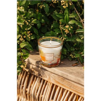 Baobab Collection My First Baobab À Saint-Tropez lumânare parfumată