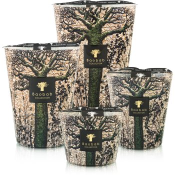 Baobab Collection Sacred Trees Kani lumânare parfumată - 1 | YEO