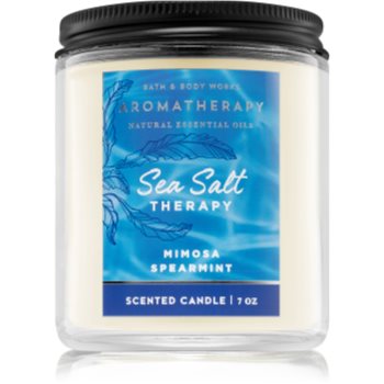 Bath & Body Works Sea Salt Therapy lumânare parfumată