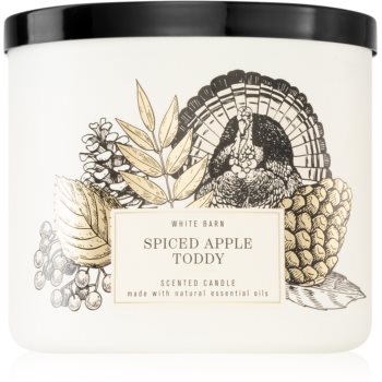 Bath & Body Works Spiced Apple Toddy lumânare parfumată Apple imagine noua
