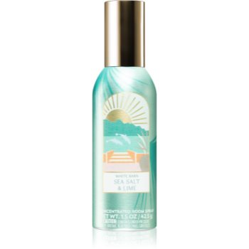 Bath & Body Works Sea Salt & Lime spray pentru camera