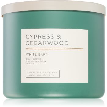 Bath & Body Works Cypress & Cedarwood lumânare parfumată