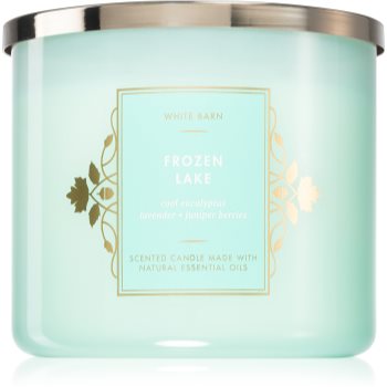 Bath & Body Works Frozen Lake lumânare parfumată