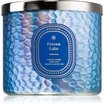 Bath & Body Works Frozen Lake lumânare parfumată