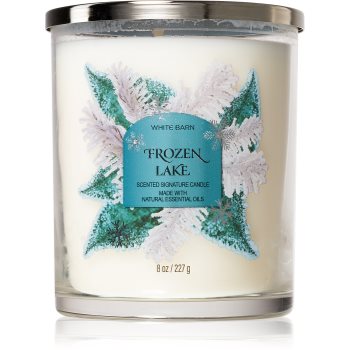 Bath & Body Works Frozen Lake lumânare parfumată