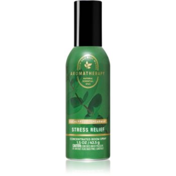 Bath & Body Works Eucalyptus spray pentru camera