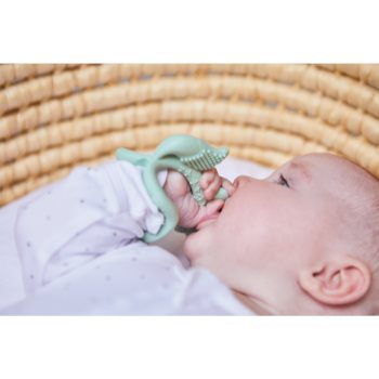 B.Box Teether brățară pentru dentiție - 1 | YEO