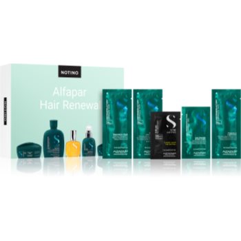 Beauty Discovery Box Notino XL - Alfaparf Hair Renewal set pentru femei