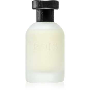 Bois 1920 Vetiver Ambrato Eau de Parfum unisex 1920