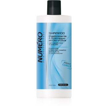Brelil Professional Elasticizing & Frizz-Free Shampoo sampon pentru par cret