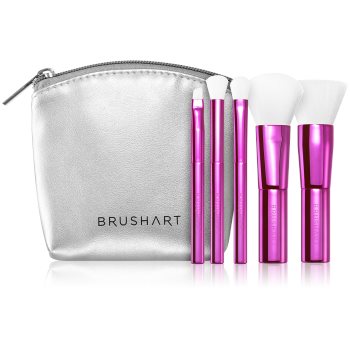 BrushArt MINI set de pensule cu geantă