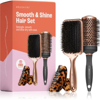 BrushArt Hair Smooth & Shine Hair Set set cadou pentru păr