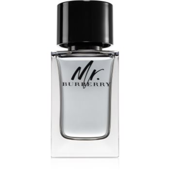 Burberry Mr. Burberry Eau de Toilette pentru bărbați