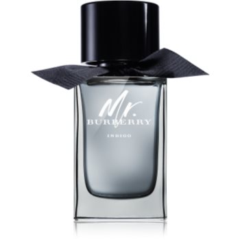 Burberry Mr. Burberry Indigo Eau de Toilette pentru bărbați