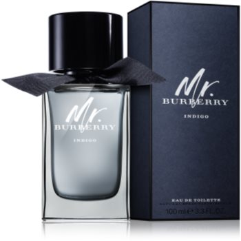 Burberry Mr. Burberry Indigo Eau de Toilette pentru bărbați - 1 | YEO