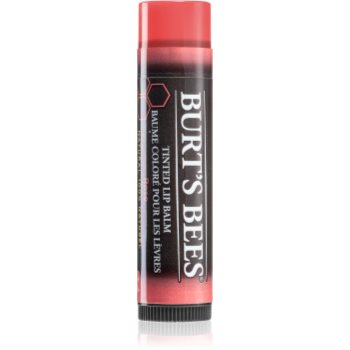 Burt’s Bees Tinted Lip Balm balsam de buze