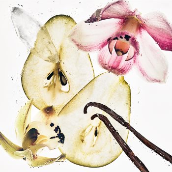 Calvin Klein CK Nude Vanilla spray parfumat pentru corp și păr