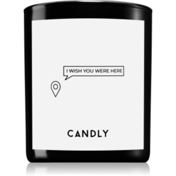 Candly & Co. I wish you were here lumânare parfumată