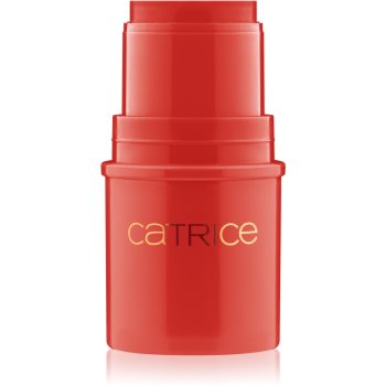 Catrice Sparks of Joy blush stick