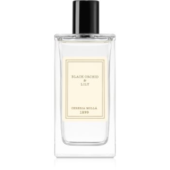 Cereria mollá black orchid & lily spray pentru camera