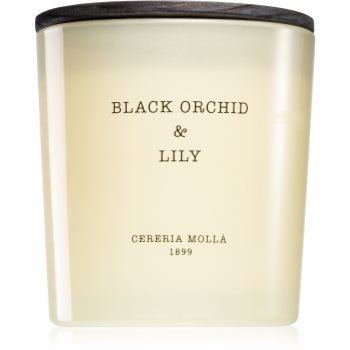 Cereria Mollá Boutique Black Orchid & Lily lumânare parfumată